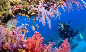 my andaman explorer 25